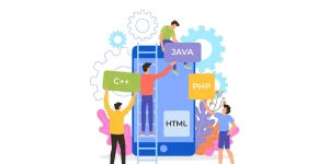 برنامه نویس فول استک چیست