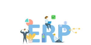 راهنمای انتخاب ERP یا BPMS